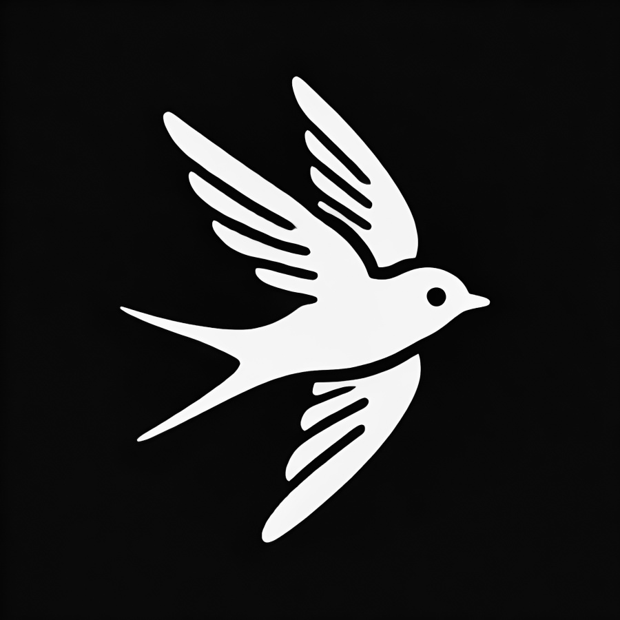 swallow album cover
